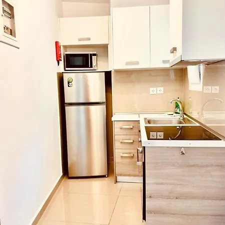 Apartment Palapart Gikas *